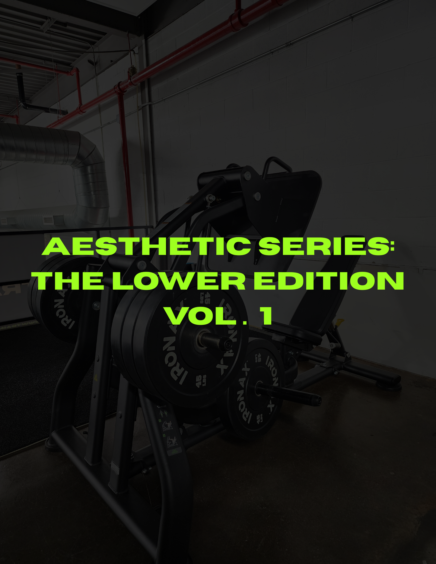 Lower Body: The Foundation