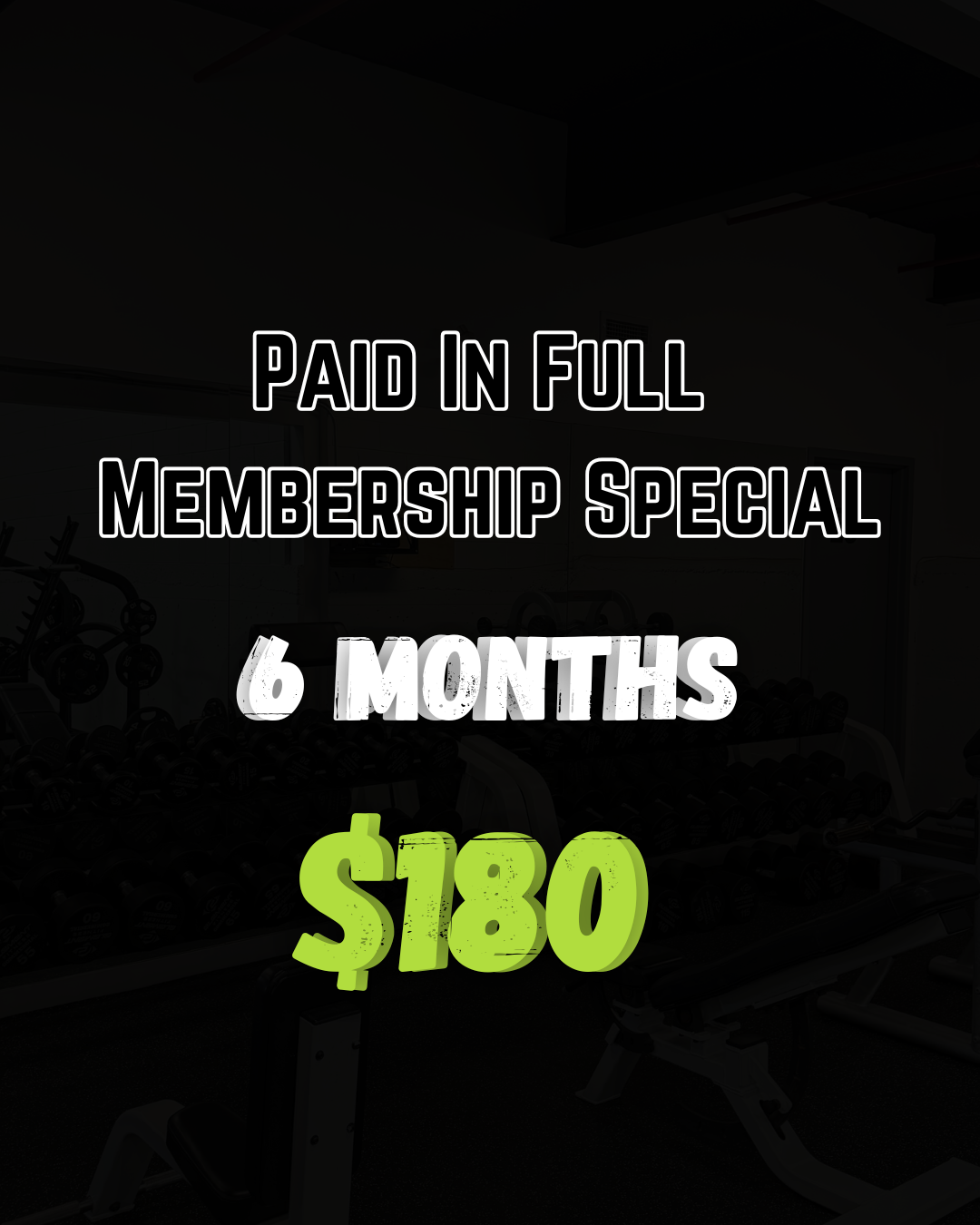 PIF Membership - 6 Months