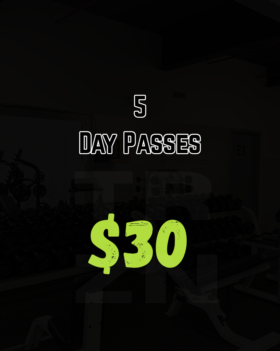 Solo Access Passes Package