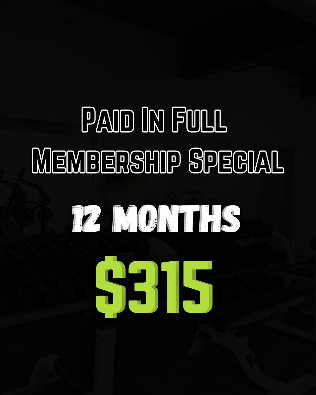 PIF Membership - 12 Months